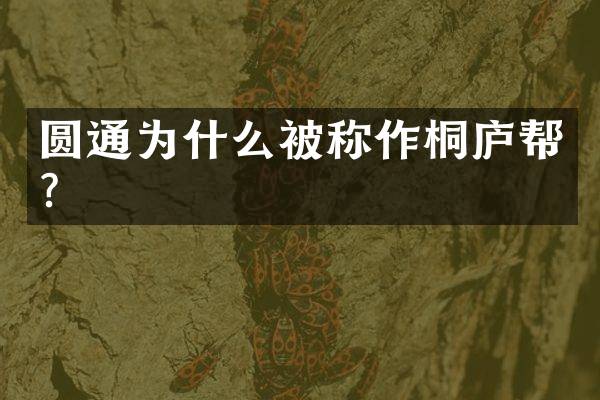 圆通为什么被称作桐庐帮？