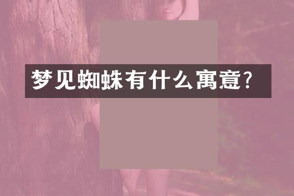 梦见蜘蛛有什么寓意？
