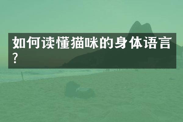 如何读懂猫咪的身体语言？