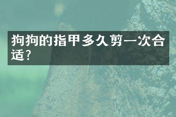 狗狗的指甲多久剪一次合适？