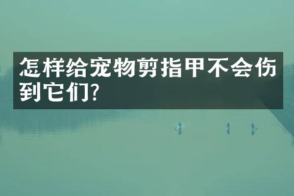 怎样给宠物剪指甲不会伤到它们？