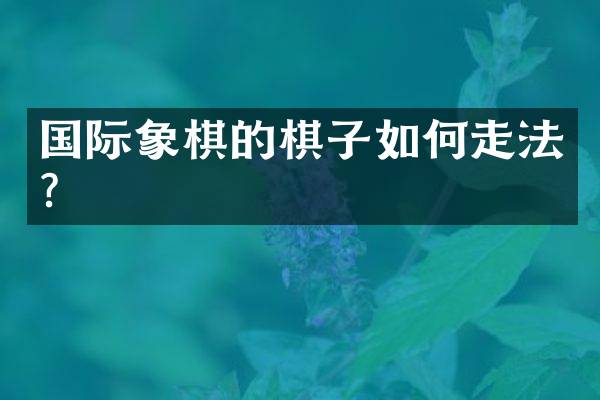国际象棋的棋子如何走法？