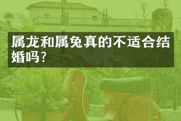 属龙和属兔真的不适合结婚吗？