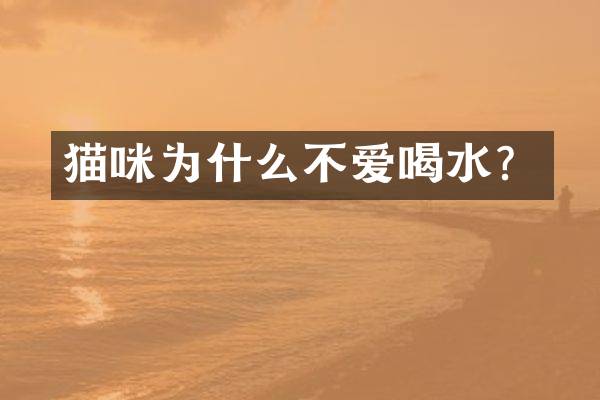 猫咪为什么不爱喝水？