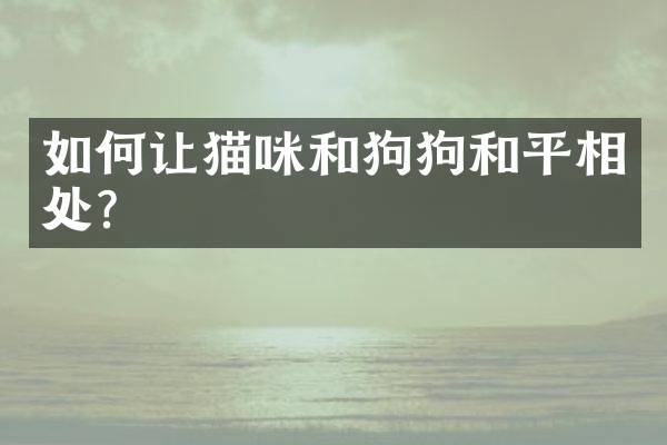 如何让猫咪和狗狗和平相处？