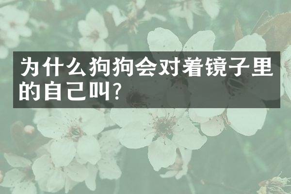 为什么狗狗会对着镜子里的自己叫？