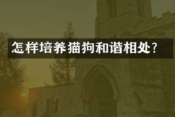 怎样培养猫狗和谐相处？