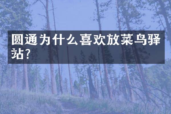 圆通为什么喜欢放菜鸟驿站？