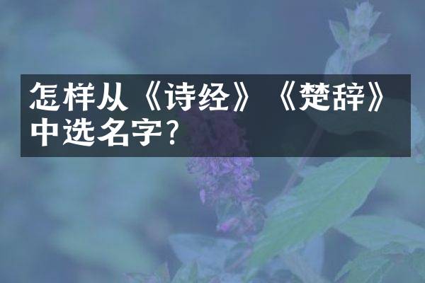 怎样从《诗经》《楚辞》中选名字？