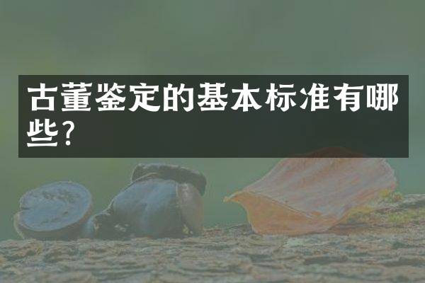 古董鉴定的基本标准有哪些？