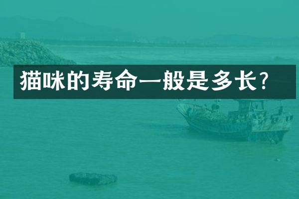 猫咪的寿命一般是多长？