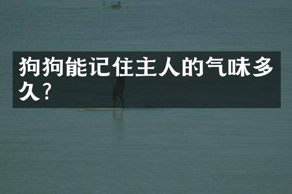 狗狗能记住主人的气味多久？
