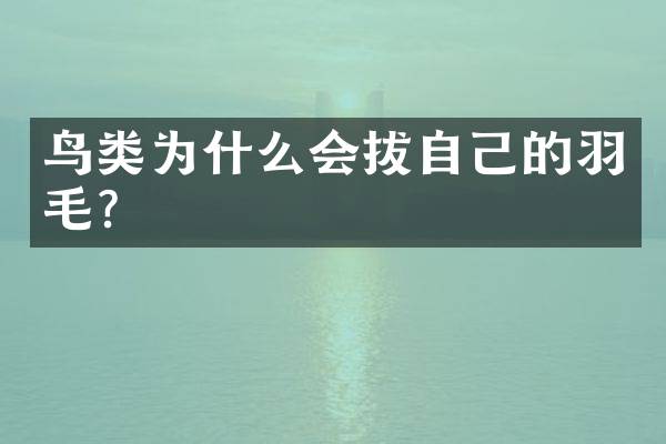 鸟类为什么会拔自己的羽毛？