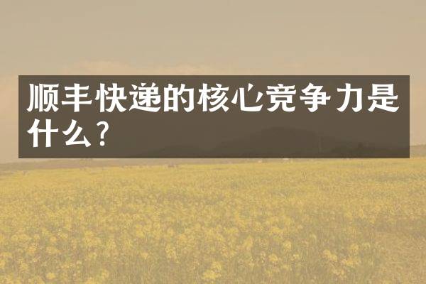 顺丰快递的核心竞争力是什么？