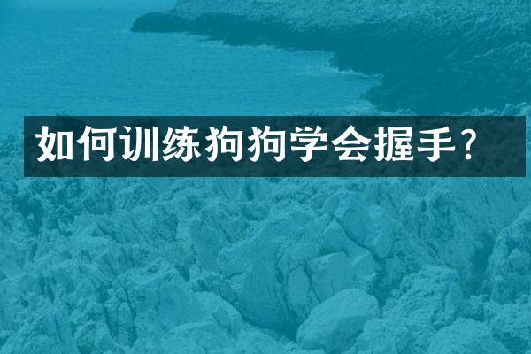如何训练狗狗学会握手？