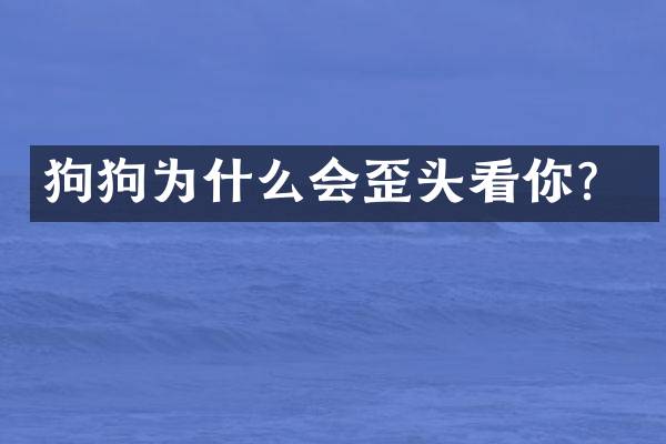 狗狗为什么会歪头看你？