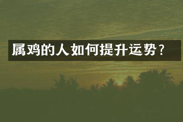 属鸡的人如何提升运势？