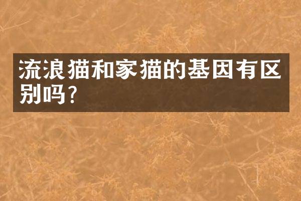 流浪猫和家猫的基因有区别吗？