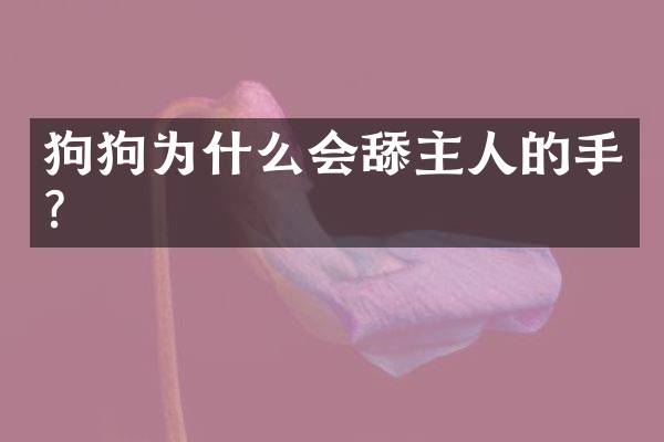 狗狗为什么会舔主人的手？