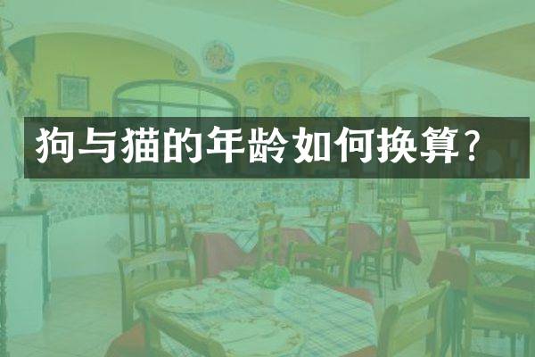狗与猫的年龄如何换算？