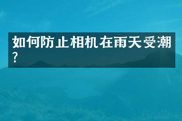 如何防止相机在雨天受潮？