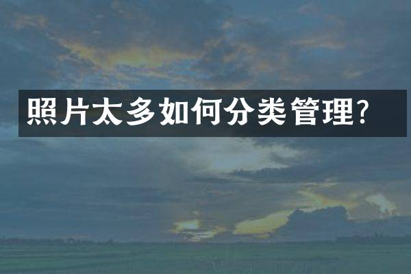 照片太多如何分类管理？