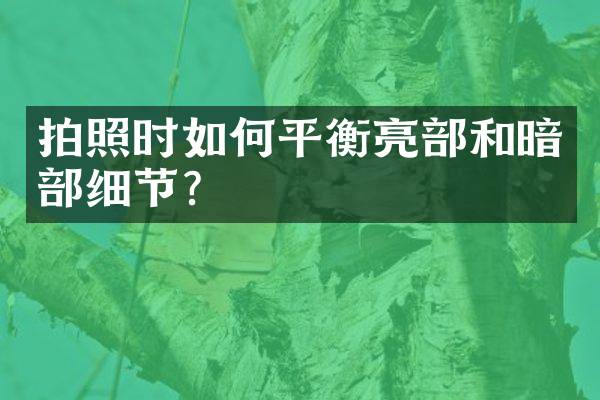 拍照时如何平衡亮部和暗部细节？