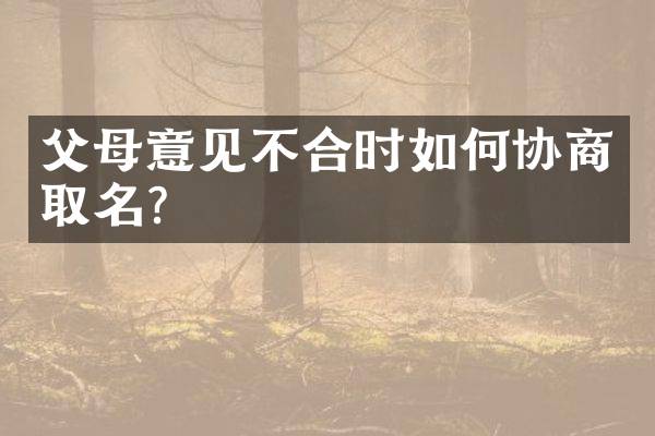 父母意见不合时如何协商取名？