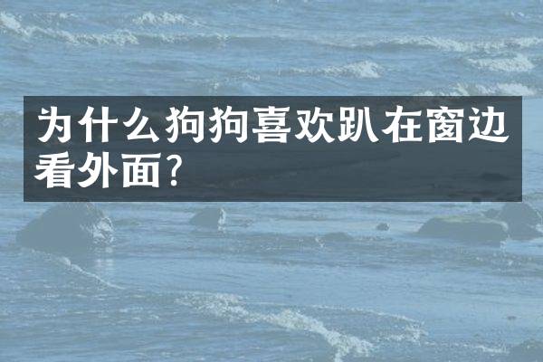 为什么狗狗喜欢趴在窗边看外面？