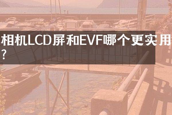 相机LCD屏和EVF哪个更实用？