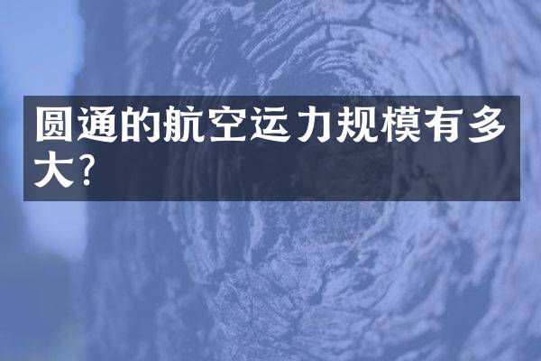 圆通的航空运力规模有多大？