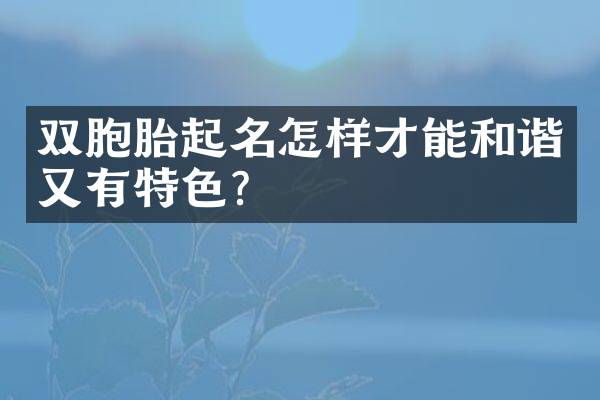 双胞胎起名怎样才能和谐又有特色？