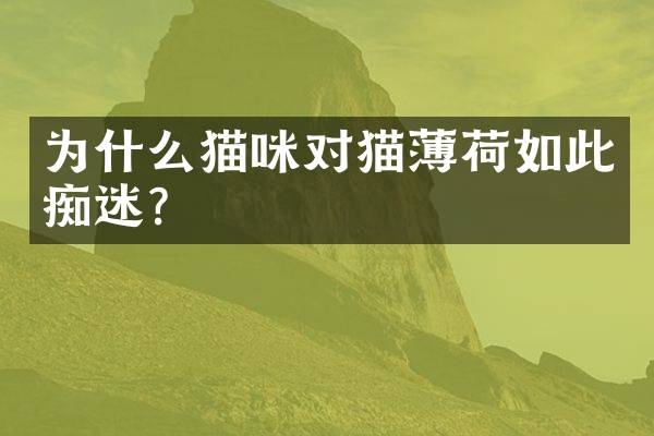 为什么猫咪对猫薄荷如此痴迷？
