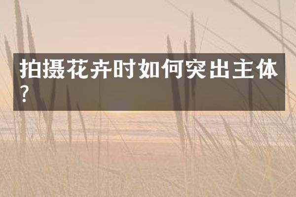 拍摄花卉时如何突出主体？