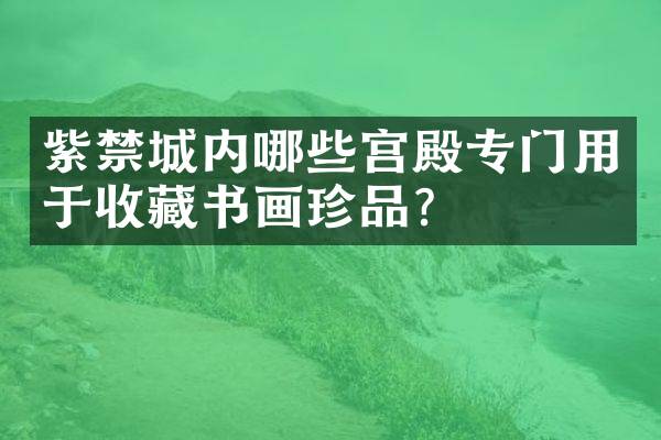 紫禁城内哪些宫殿专门用于收藏书画珍品？