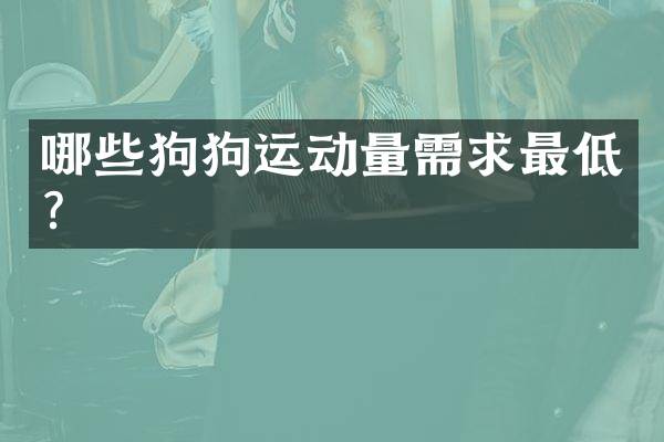 哪些狗狗运动量需求最低？