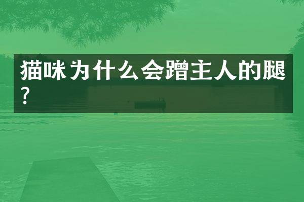 猫咪为什么会蹭主人的腿？