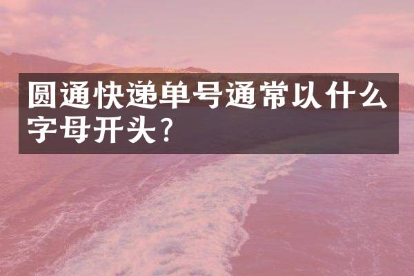圆通快递单号通常以什么字母开头？
