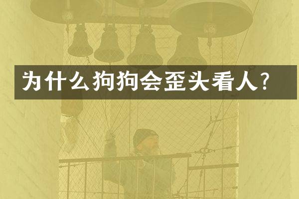 为什么狗狗会歪头看人？