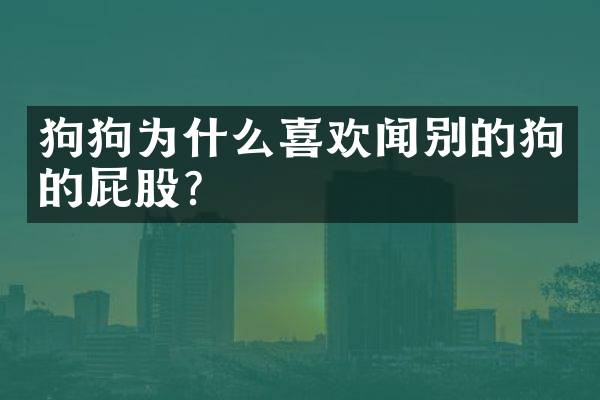 狗狗为什么喜欢闻别的狗的屁股？