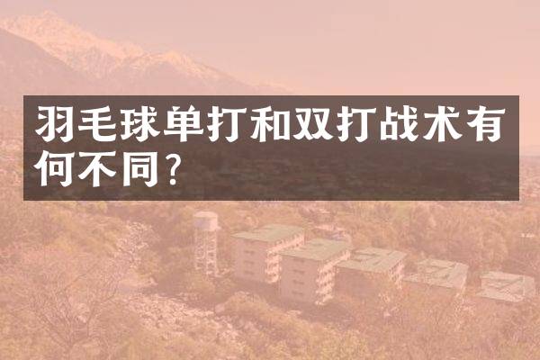 羽毛球单打和双打战术有何不同？
