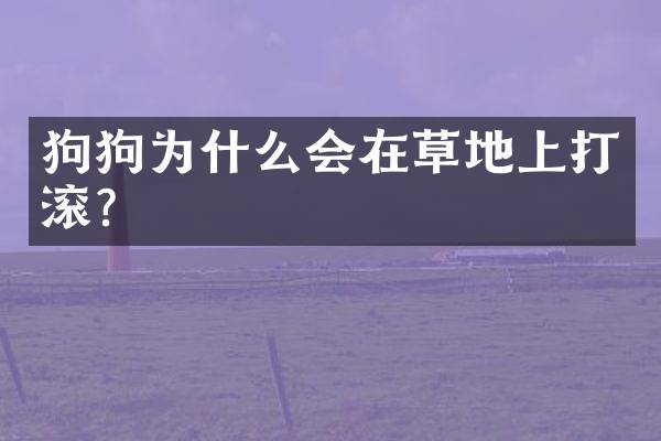 狗狗为什么会在草地上打滚？