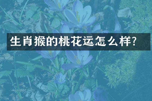 生肖猴的桃花运怎么样？