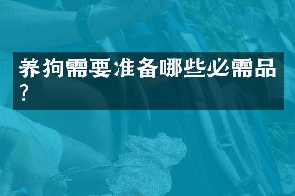 需要准备哪些必需品？