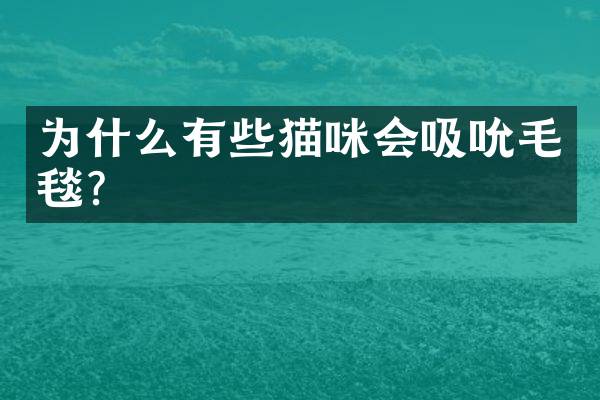 为什么有些猫咪会吸吮毛毯？
