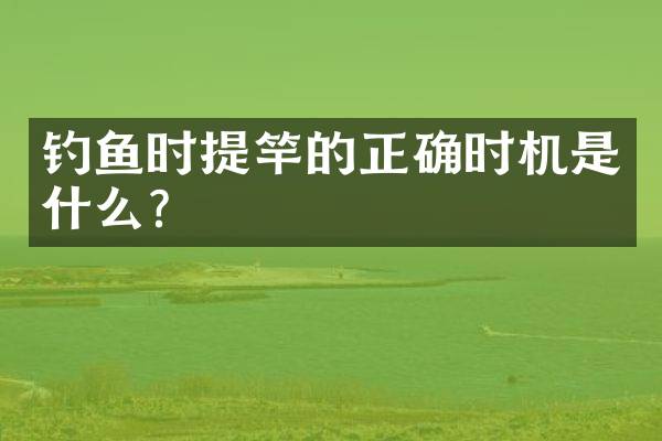钓鱼时提竿的正确时机是什么？