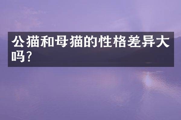 公猫和母猫的性格差异大吗？