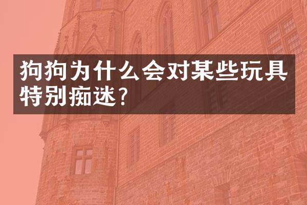 狗狗为什么会对某些玩具特别痴迷？