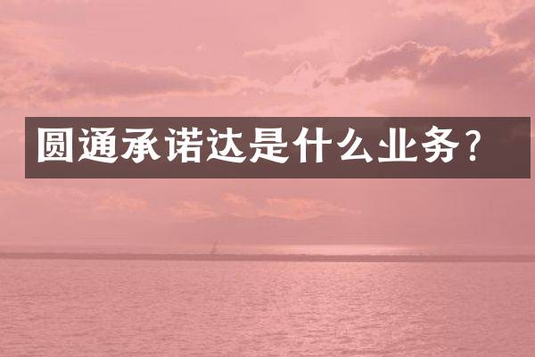 圆通承诺达是什么业务？