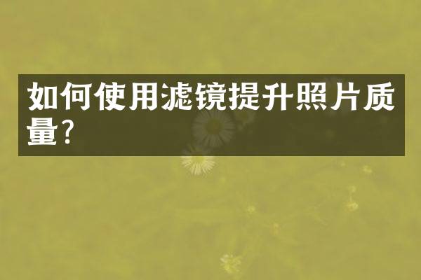 如何使用滤镜提升照片质量？